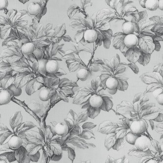 Bild på Benedikt Grey - 1105201-03